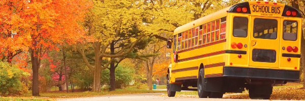 School Bus In Fall