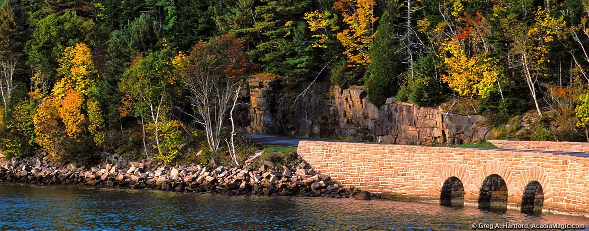 Bridge In Acadia National Park