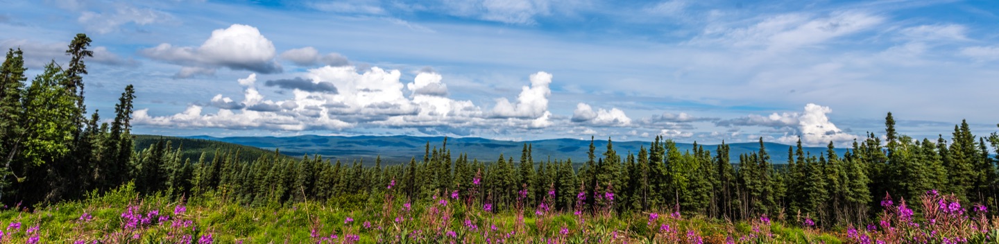 Photograph of Fairbanks AK