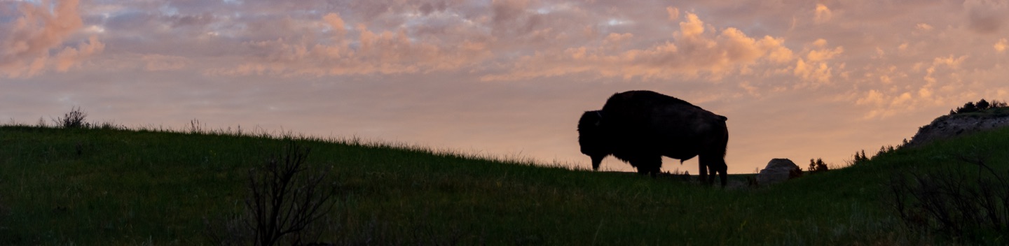 Photograph of Grand Forks ND