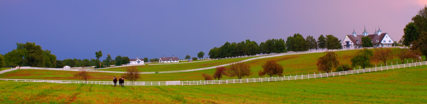 Photograph of Lexington KY