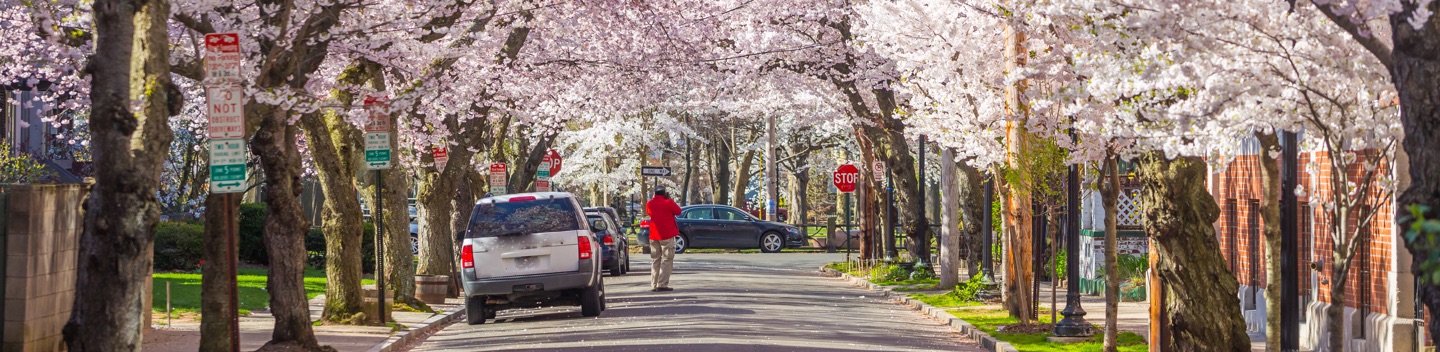 Photograph of New Haven CT